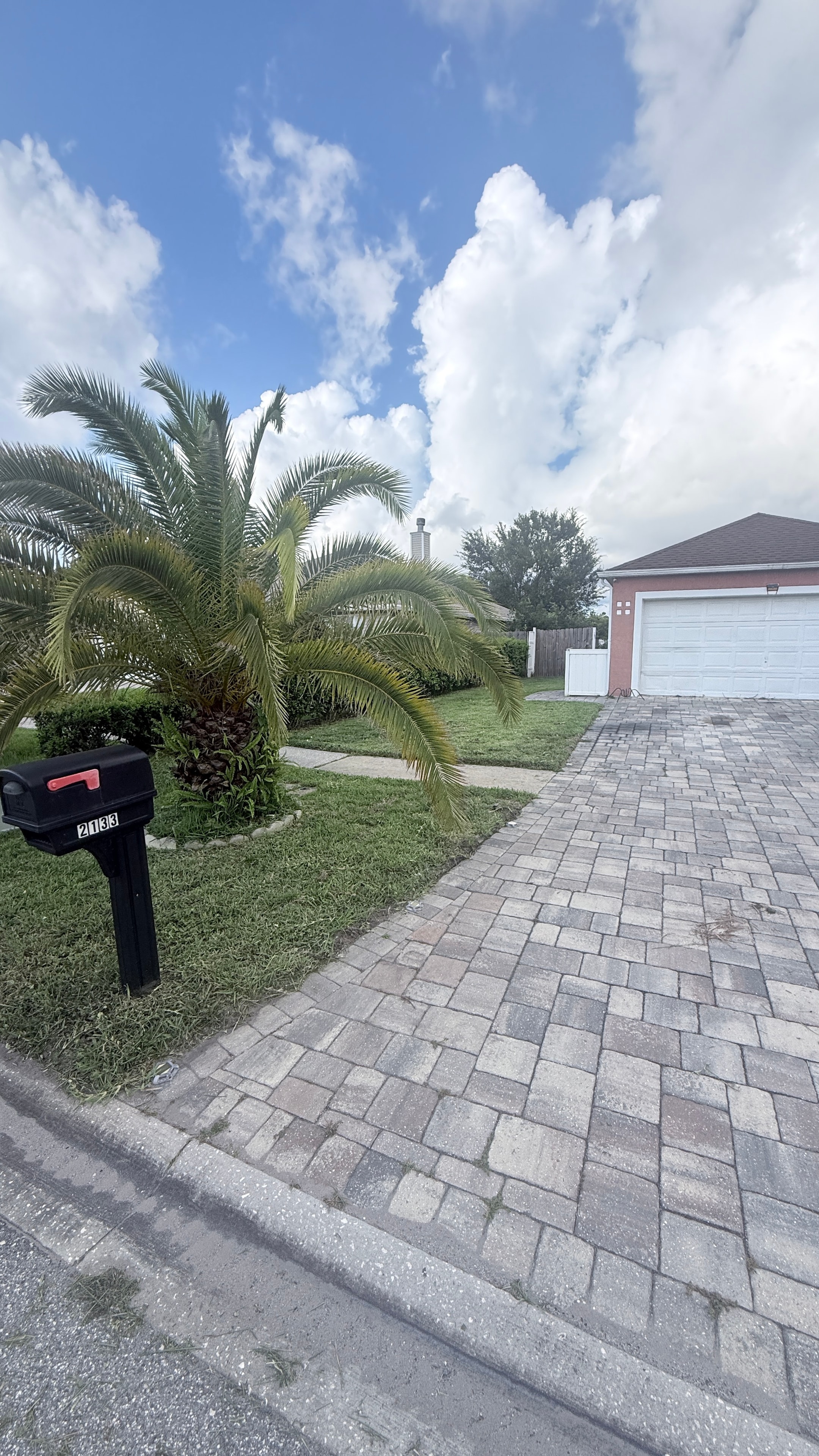 Landscaped driveway with palm tree