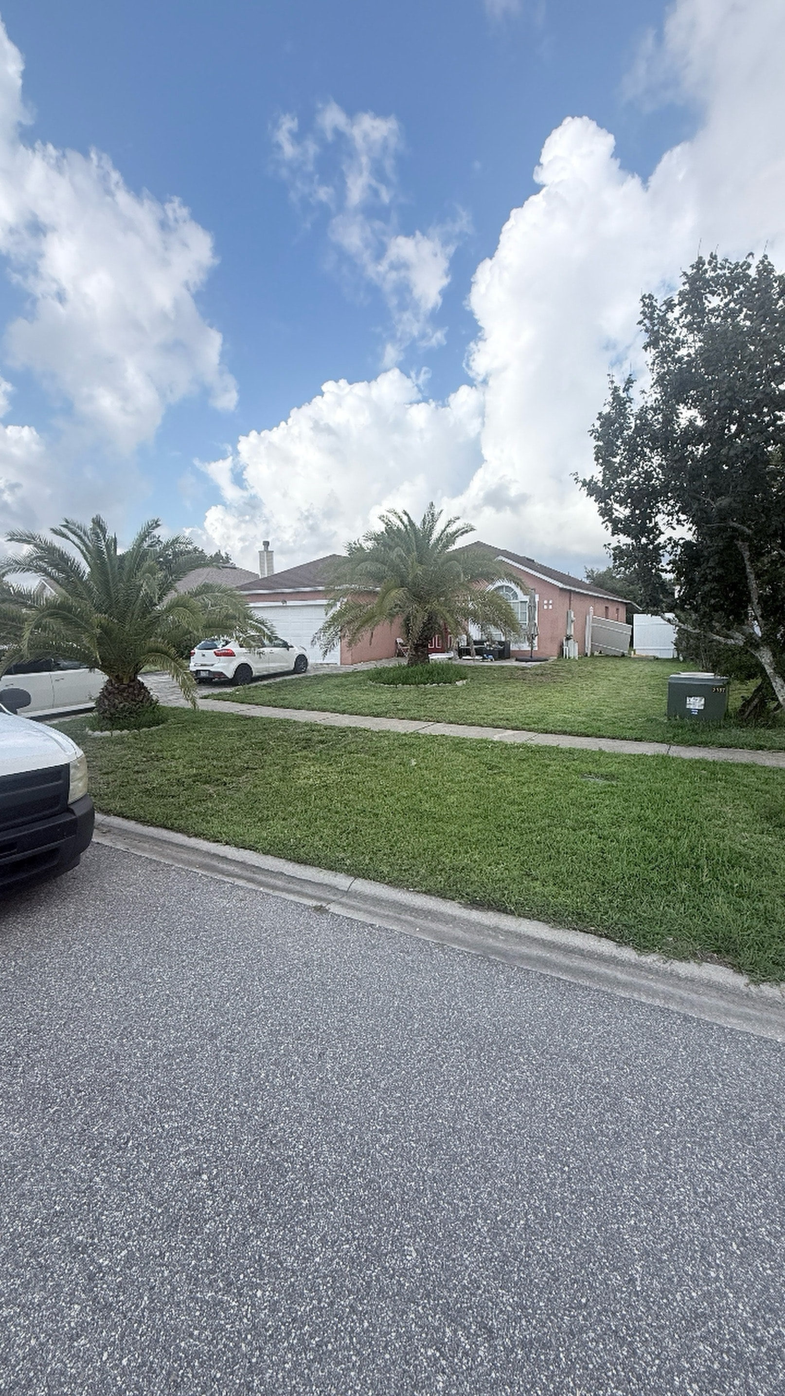 Residential lawn with palm trees