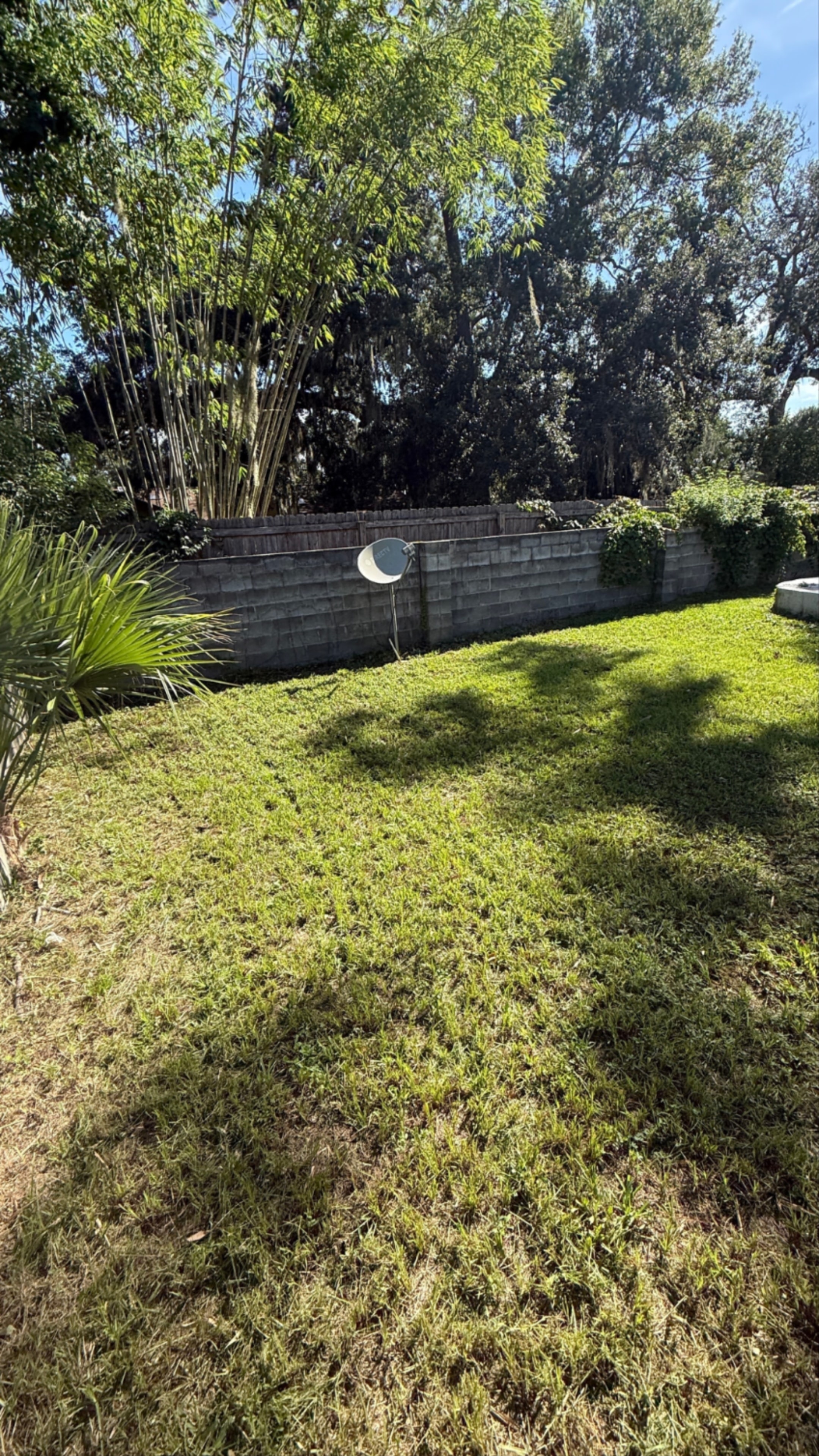 Lawn Mowing